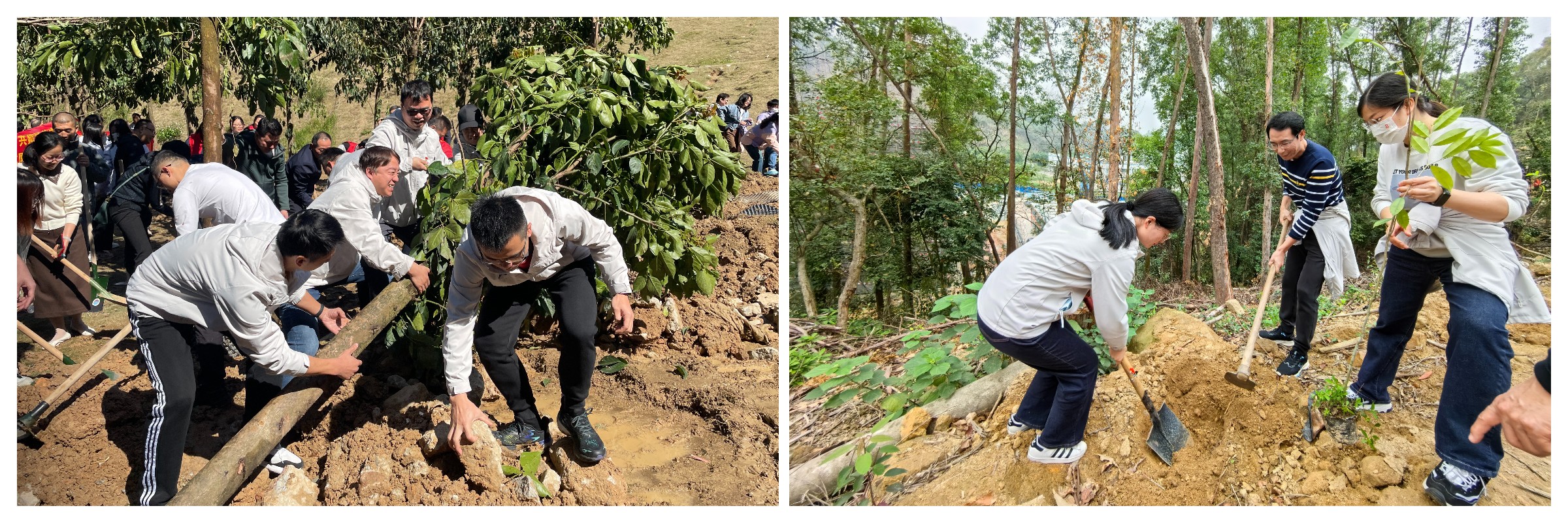AG旗舰厅 (中国大陆) Apple Store